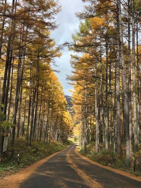 11月に入りました！！残すところ あと二カ月となりました。